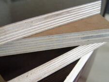 PLYWOOD OSF ONE SIDE TEGO FILM
